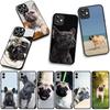 for Motorola Moto G54 G05 G24 G45 G55 G75 G85 G15 G57 G86 Power Edge 50 30 Ultra Fusion neo Pro Case France Bulldog Dog Pet
