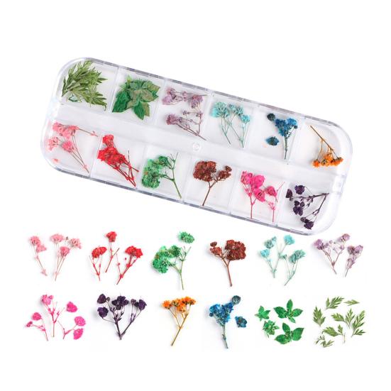 Nail Art Trockenblumen Einzigartige exquisite konservierte Nagelaufkleber aus Kunststoff für Nagelstudios