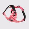 New Dog Leash Korean Color Matching Puppy Chest and Back Breathable and Light Dog Chest Strap Walking Dog Than Bear