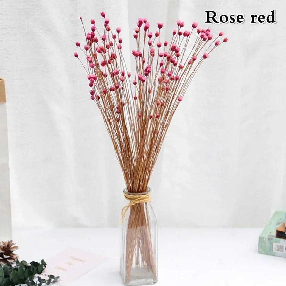 

50 букетов натуральных настоящих маленьких букетов из сухоцветов, бразильские цветы на удачу, стабилизированные цветы розы красного