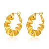 Irregular Personalized 18k Gold Plated Gold Hoop Earrings For Women Fashion Jewelry