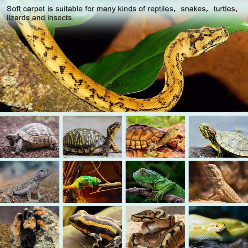 4pcs Pet Terrariums Moisturized Carpet Coconut Fiber Substrate Liner For Snake And Geckos Healthy Habitats Accessory