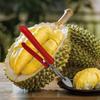 Manual Durian Opener Labor-saving Fruit Split Ing Pliers Durian Shell Opener Clip  Dink Shop