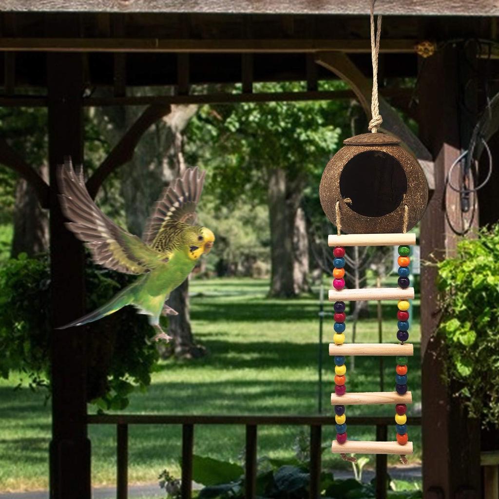 Hanging Coconut Bird House with Ladder,Natural Coconut Fiber Shell Bird Nest for Parrot Parakeet Lovebird Finch Canary,Coconut Hide Bird Swing Toys