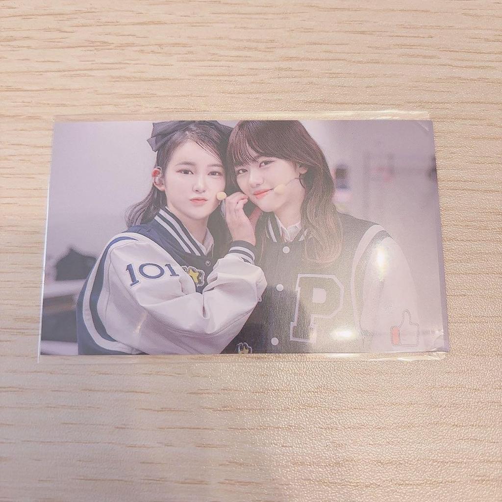 [USED] Nippu Girls Fan Book Tower Records Bonus Sakurai Miu & Kato Kokoro Card Trading Card