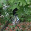 LED Camping Light 400mAh 100LM Atmosphere Light Type-C USB Rechargeable Waterproof with Hook 3 Modes Outdoor Lighting