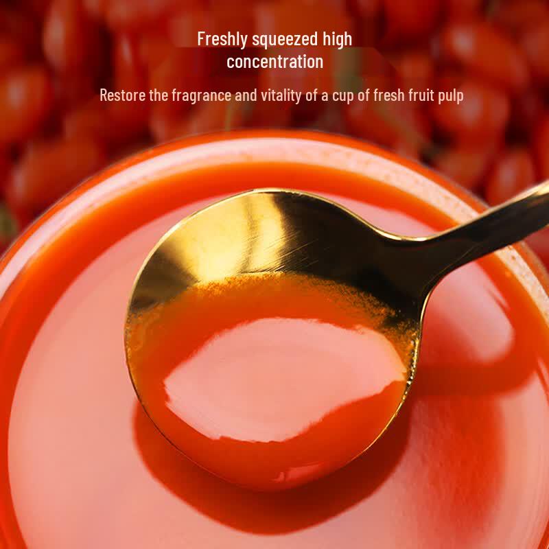 NINGANPU Ningxia Zhongning Goji Berry Pulp Gift Box