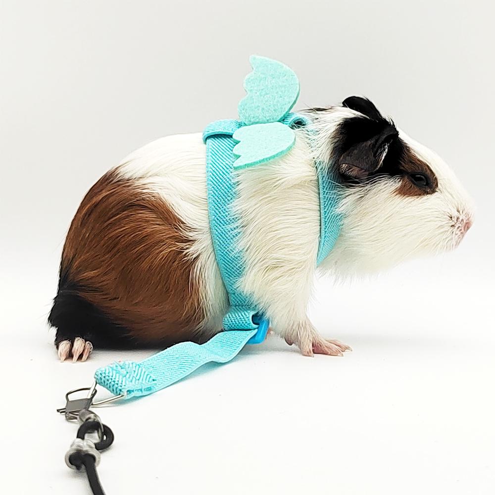 1pc Pet Parrot Bird Harness AdjustTraining Leash Design Anti-Bite Bird Harness Leash for Small Parrots Outdoor Training Traction