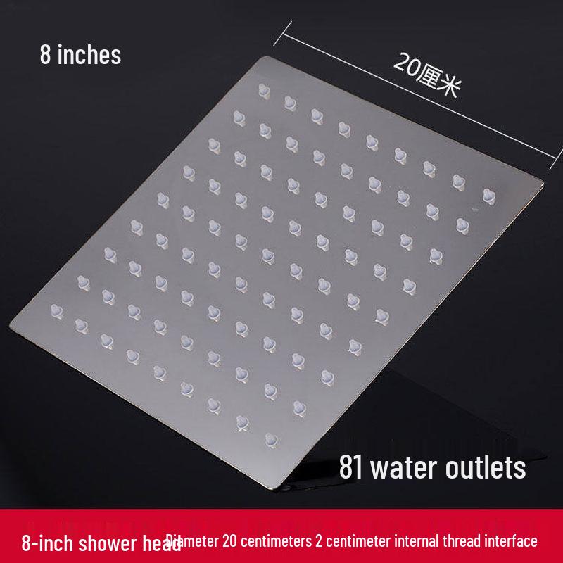 Lin Dong Stainless Steel Overhead Shower Head