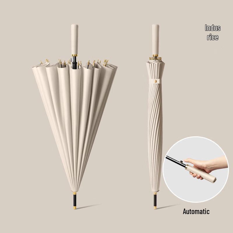 24-Rib Business Long Handle Umbrella