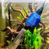 Sterk Sugekraft Elektrisk Akvarierenser 16/20W Multifunksjonell Automatisk Fisketankrenser Grusuttrekker Stillegående