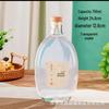 Sealed Glass Wine and Cold Brew Coffee Dispensing Bottle
