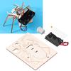 Electric Araneid DIY Toy Wooden Assemble Physics Experiment Educational Toy for Children
