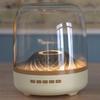 Liuli LP90pro 5th Gen Wireless Bluetooth Speaker with Heavy Bass and Card Slot