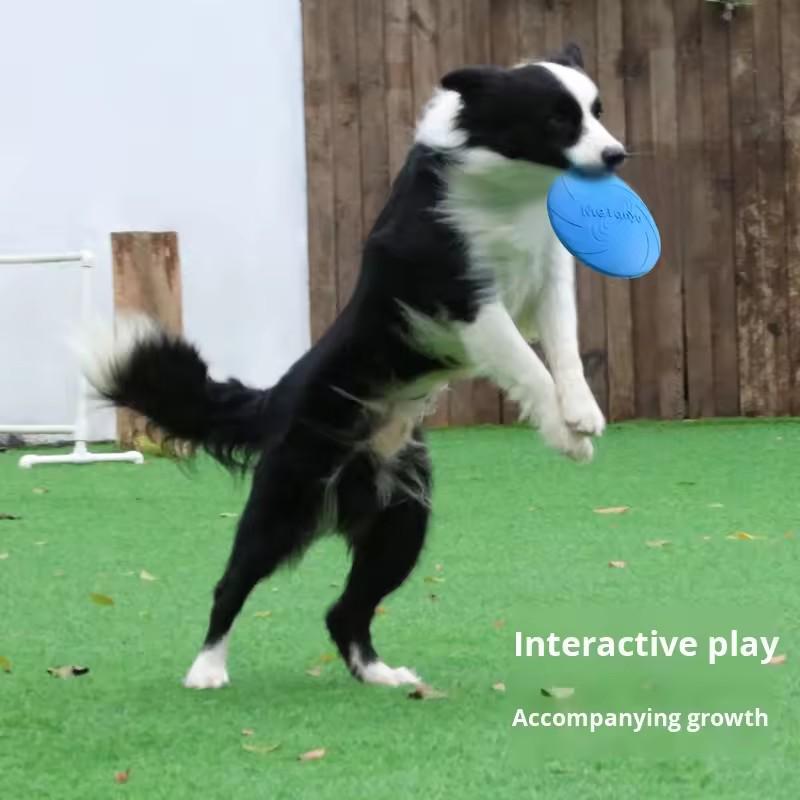 Dog Flying Disc Toy Durable Bite Resistant Floating Flying Disk For Pet Training Interactive Throw Fetch Water Food Container