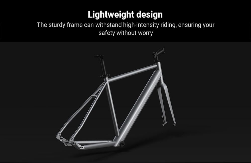DYU Stroll 1 Elektrofahrrad, 250W Motor, 36V 9Ah Akku, 700*38C CST Reifen, 25km/h Höchstgeschwindigkeit, 100km Reichweite