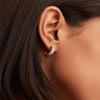 14K Gold European-Style C-Shaped Croissant Earrings for Women