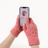 Women Winter Touchscreen Gloves Korean Ins Cute Knitted Fleece Lined Warm Gloves