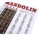 Mandolin Chord and Fingering Practice Chart