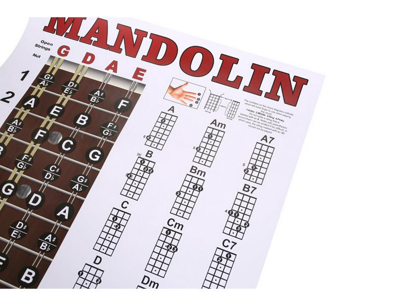 Mandolin Chord and Fingering Practice Chart