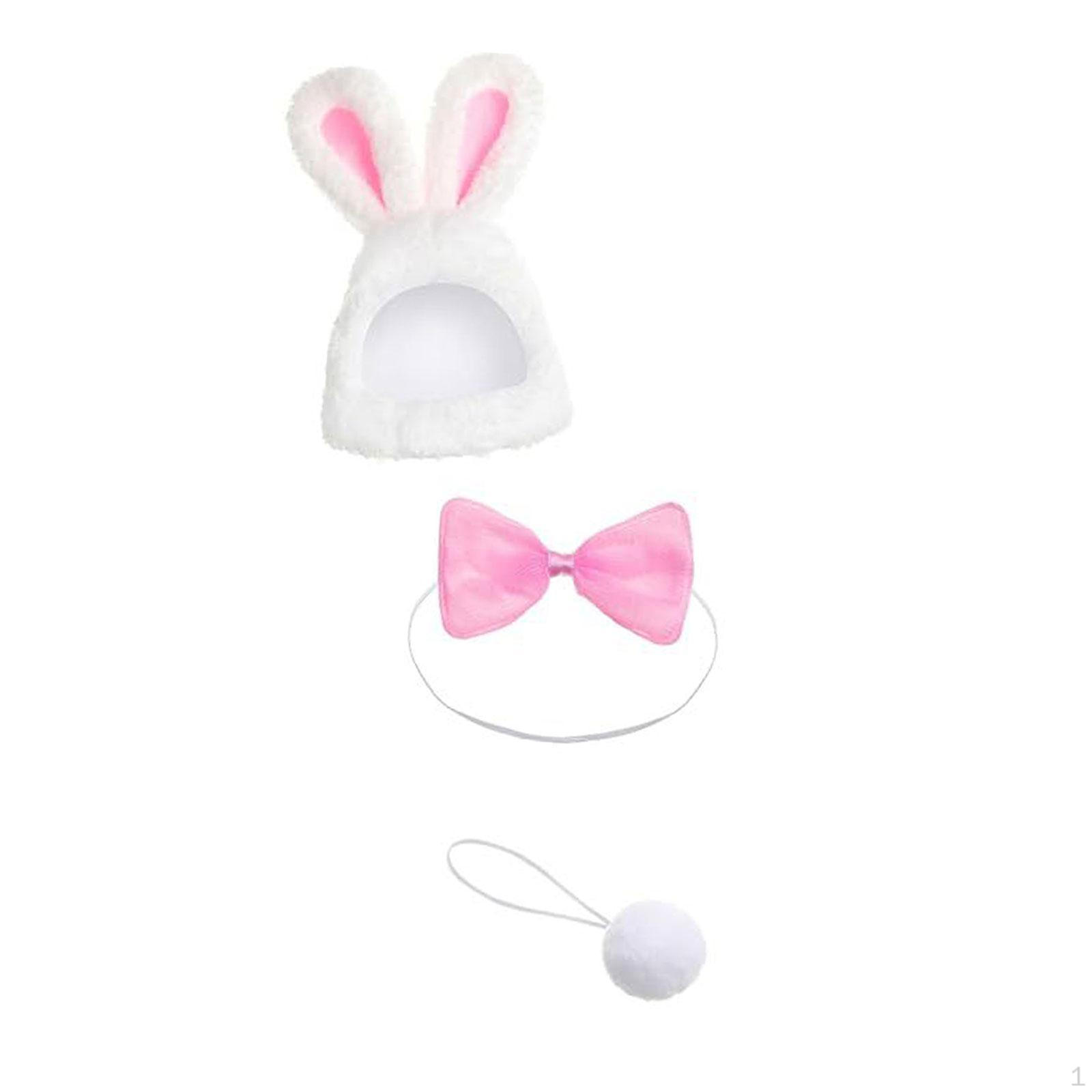 

Decoration of Decorate Garden Garde Set With Soft Ball