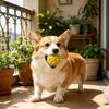 Yousheng Spiky Dog Ball Quiet Dog Chew Toy Ball Puppy Teething Ball Dog Teeth Cleaning Toy for Aggressive Chewers Small Medium Large Dogs