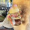 Water bottle new Korean version large capacity plastic cup double drink straw cup cute accompanying water cup girl