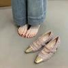 Pointed Toe with Medium Heels Woman PumpsLoafers Japanese Style Lolita Mary Jane Shoes for Women Chunky Block Heel Discount Y2k