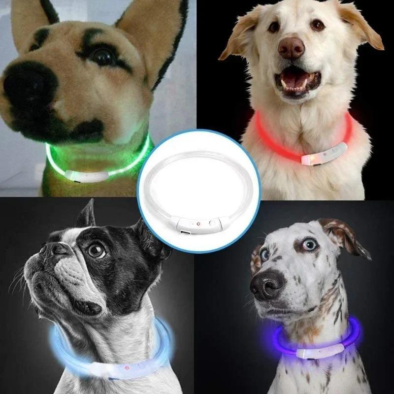 LED Dog Collar USB Rechargeable Glowing Pet Dog Collar for Night Safety Fashion Light Up Collar for Small Medium Large Dogs