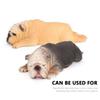 Plastic Bulldog Model Figurines Puppy Statue Dog Craft Nament Home Decor Miniatures Sleeping Bulldog Statue Dog Figurine