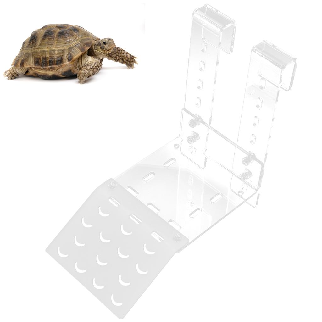 Turtle Basking Platform Large Size Acrylic Transparent Tortoise Resting Terrace for Aquarium Fish Tank