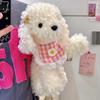 Cute Teddy Dog Plush Toy - Girly Gift Doll