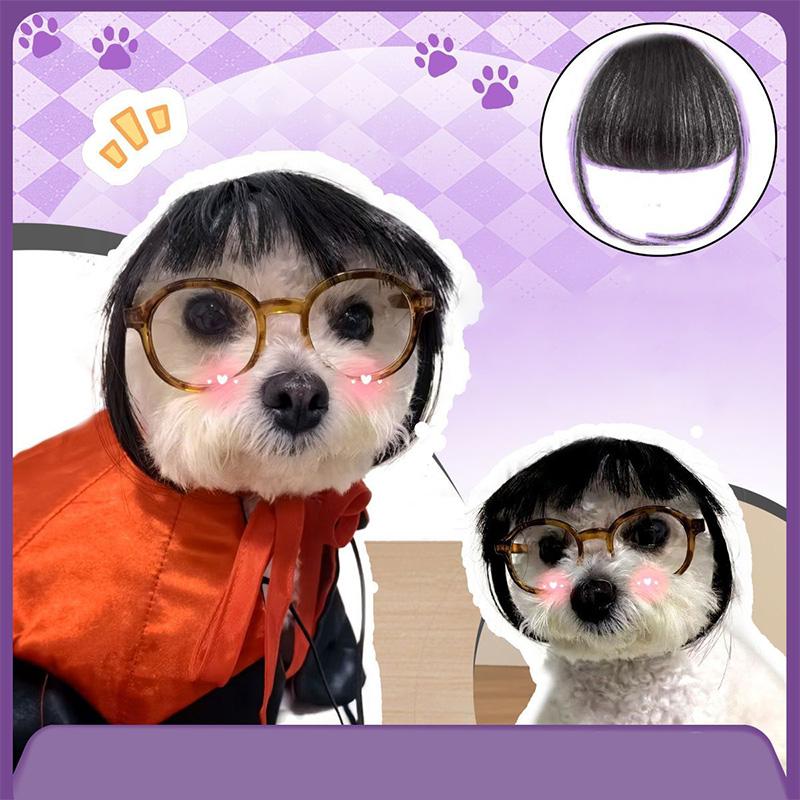 Peruca para animais de estimação, acessórios para cosplay de gatos, cabelo liso e cacheado, suprimentos para fantasias de filhotes, fotografia criativa de travestismo para cães, pegadinha engraçada