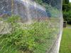 Susire Wire Mesh Fence, Animal Protection Net, Honeycomb Mesh, 1m Wide X 25m Long
