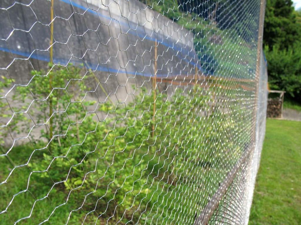 Susire Wire Mesh Fence, Animal Protection Net, Honeycomb Mesh, 1m Wide X 25m Long