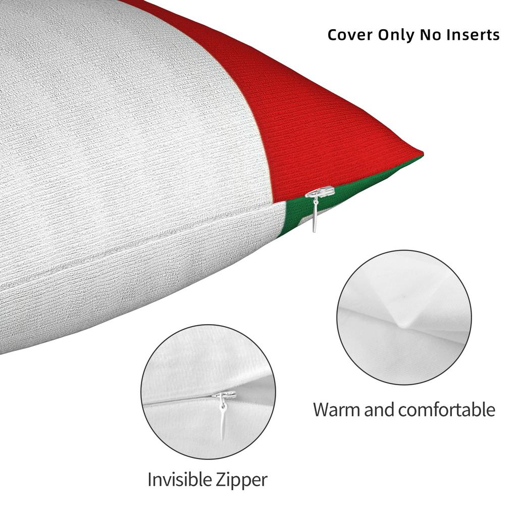 Pillow Case Flag Of Italy Comfy Pillow Cover For Sofa Home Decor Cute Funny Pillowcases