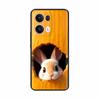 Silicone Case For OPPO Reno 13 Pro Cover CPH2697 PKK110 Cute Cartoon Painted Shockproof Fundas For OPPO Reno 13 5G Reno13 Covers