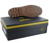 Palladium Pampa Continental Leather - Мужские ботинки кожаные коричневые 74373-203-M ОРИГИНАЛ