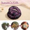 Lucky Pork Intestine Bracelet Purple Grape Color Healing Bodhi Bracelet Creative Gift Bangle