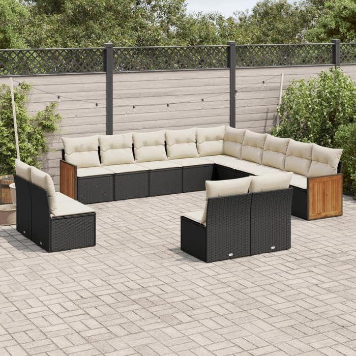 VidaXL Salon de Jardin avec Coussins 13 pcs, Canapés de Terrasse, Ensemble de Meubles de Patio, Mobilier d'Extérieur, Noir 3228163