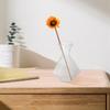 2Pcs Transparent Glass Vase High Borosilicate Clear Planter Jar Hydroponic Propagation Flower Display Home Office Decor