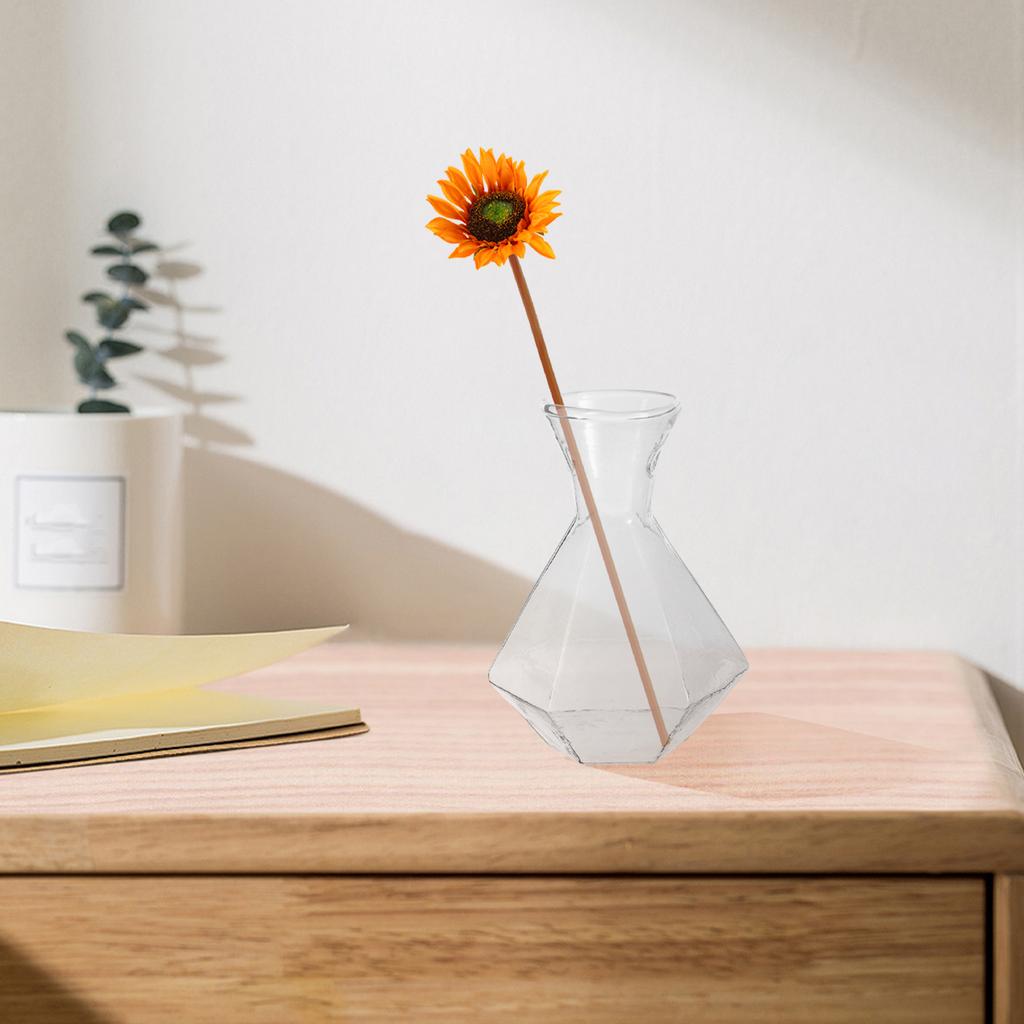 2Pcs Transparent Glass Vase High Borosilicate Clear Planter Jar Hydroponic Propagation Flower Display Home Office Decor