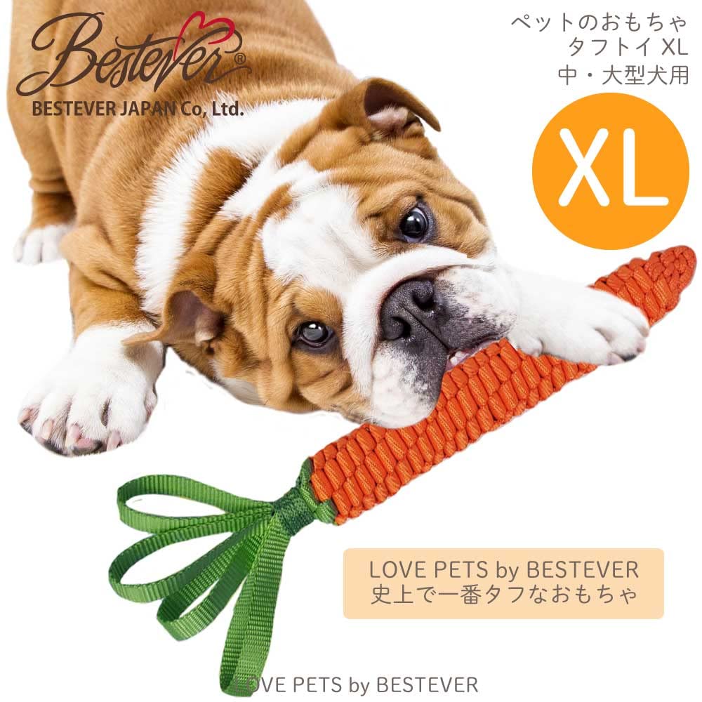 LOVE PETS by BESTEVER Robustes Spielzeug Karotte XL (47232)