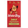 Waterboy, Daily Hydration, Electrolyte Drink Mix, Watermelon Flavor, 12 Stick Packs, 3g (0.11oz) Each