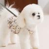 Cute bear floral thin breathable leash suspender pumpkin skirt small dog teddy dog pet clothes