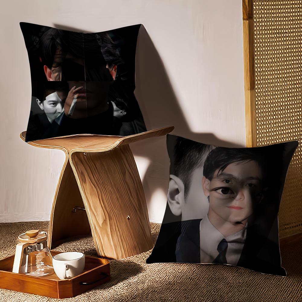 Andy Lau Actor Cushion Cover Anti-Dustmite Pillowcase Invisible Zipper Silky Short Plush Sofa Cushion Cover