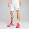 Puma Shorts Individual Training