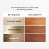 Streax Highlighting Kit Blonde Hair Colour 180g 12g | Vibrant DIY Salon Style Hair Highlights For Women And Men | Easy At Home Use