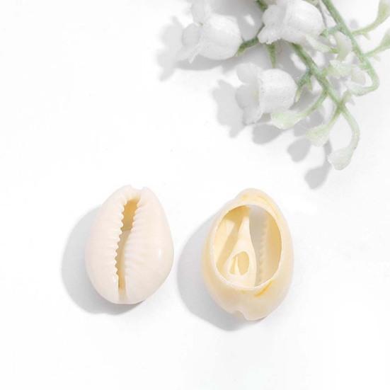 50 ks mušle kauri s mezerou DIY náramek náhrdelník náramek na kotník ozdoba šperky dekorace