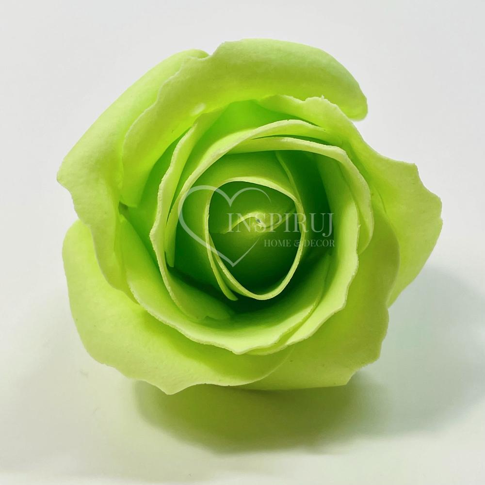 Soap Rose In a Light Green Color